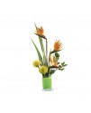 The Tropical Bright Arrangement The Tropical Bright Arrangement
